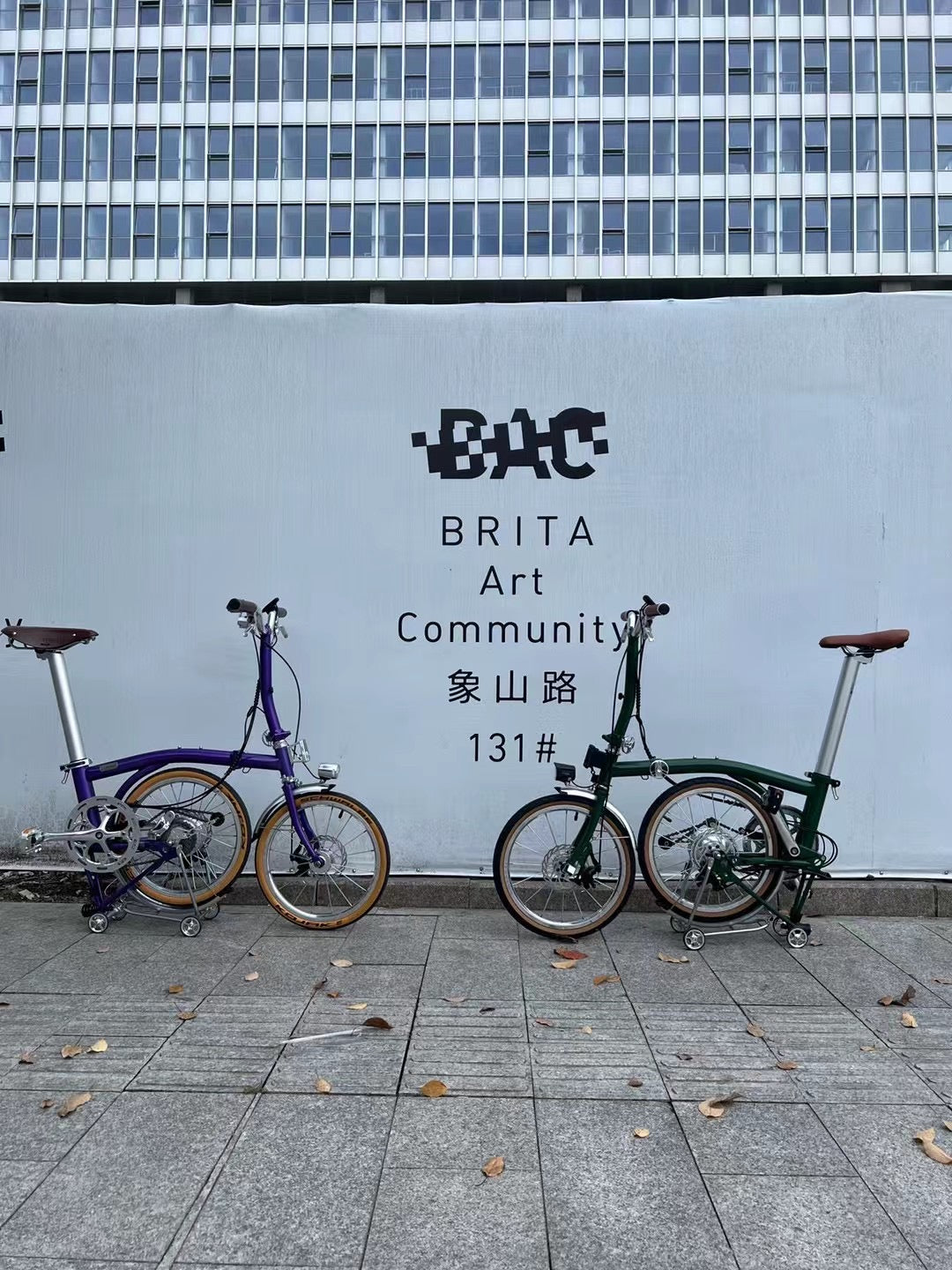 CLASSYCAT E-Brompton Pro/ Max PSE