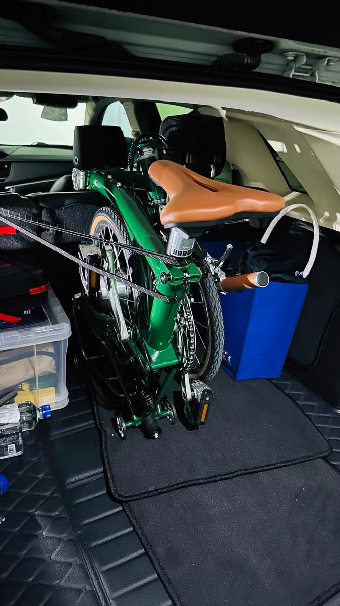 CLASSYCAT E-Brompton Pro/ Max PSE
