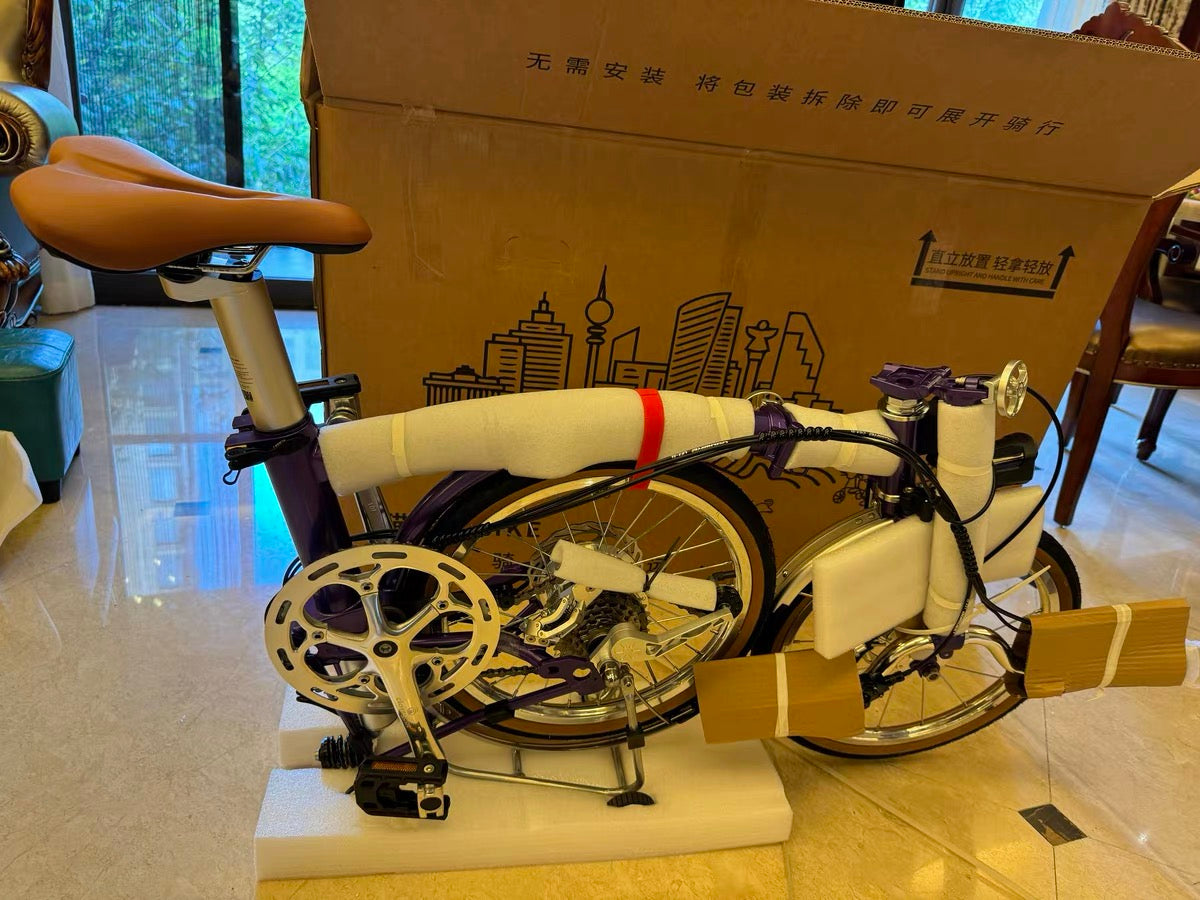 CLASSYCAT E-Brompton Pro/ Max PSE