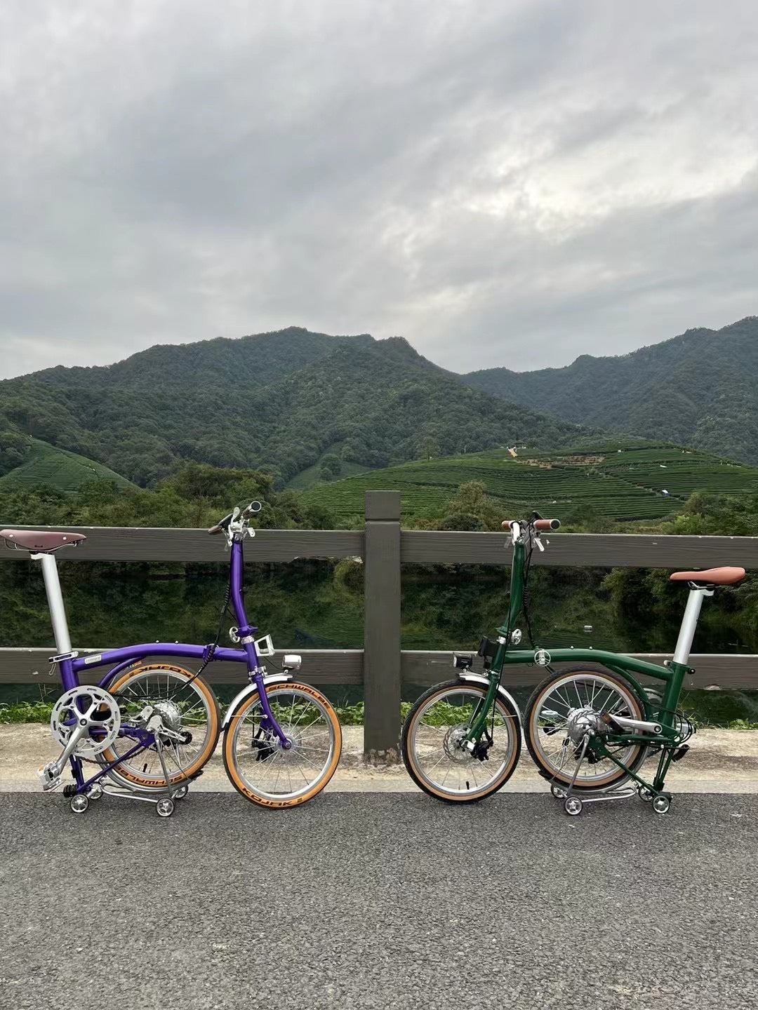 CLASSYCAT E-Brompton Pro/ Max PSE