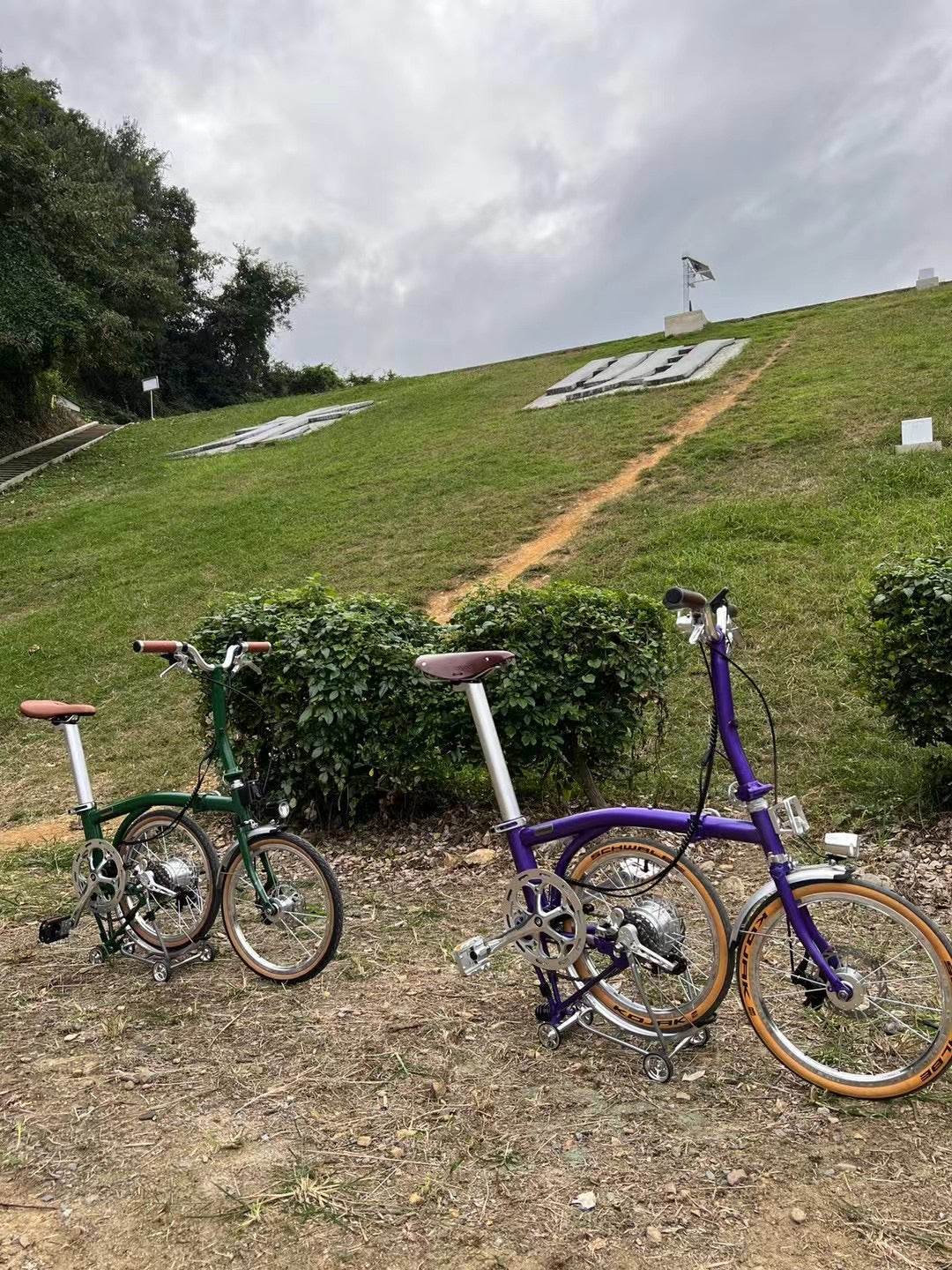 CLASSYCAT E-Brompton Pro/ Max PSE