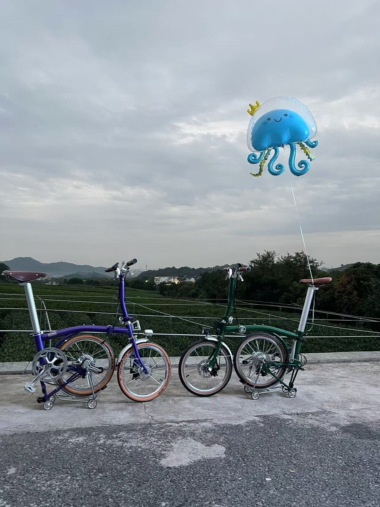 CLASSYCAT E-Brompton Pro/ Max PSE