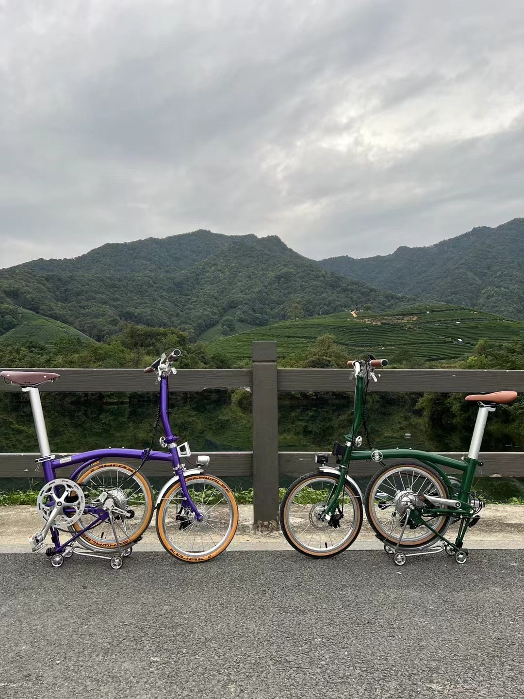 CLASSYCAT E-Brompton Pro/ Max PSE