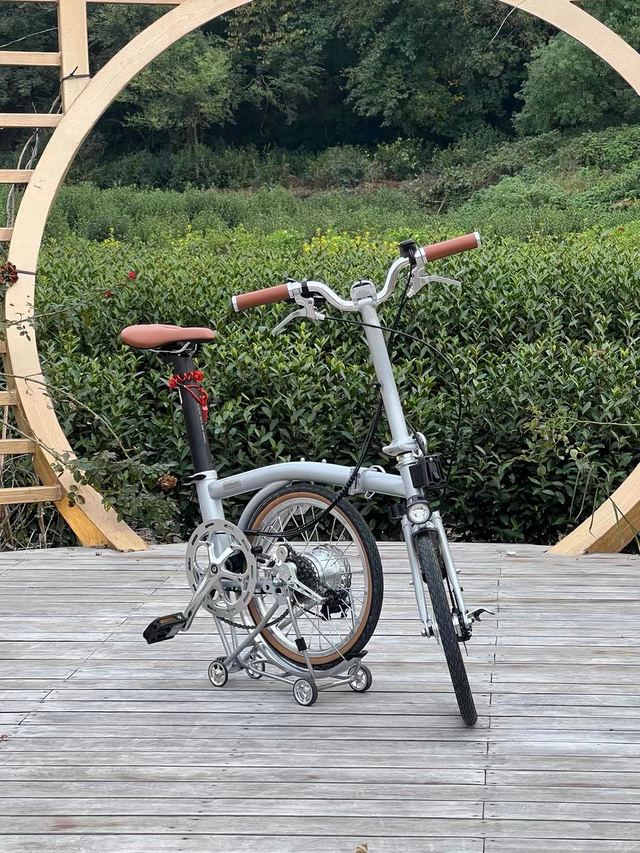CLASSYCAT E-Brompton Pro/ Max PSE