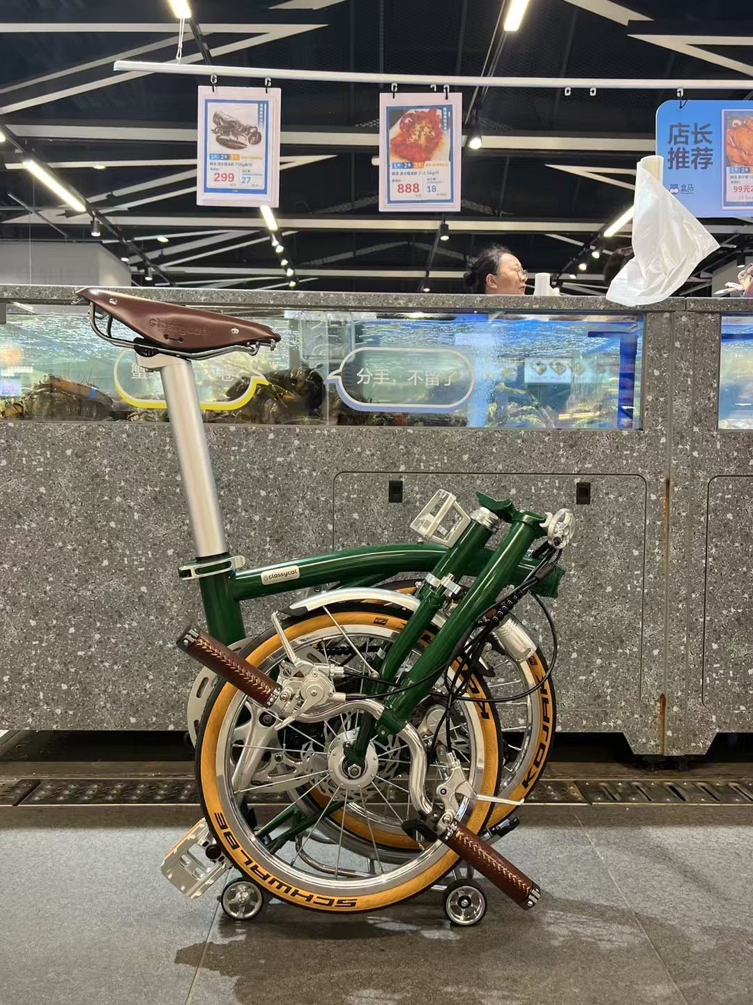 CLASSYCAT E-Brompton Pro/ Max PSE