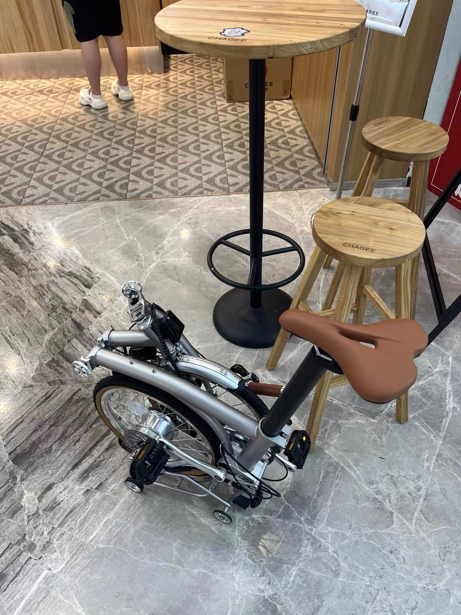 CLASSYCAT E-Brompton Pro/ Max PSE