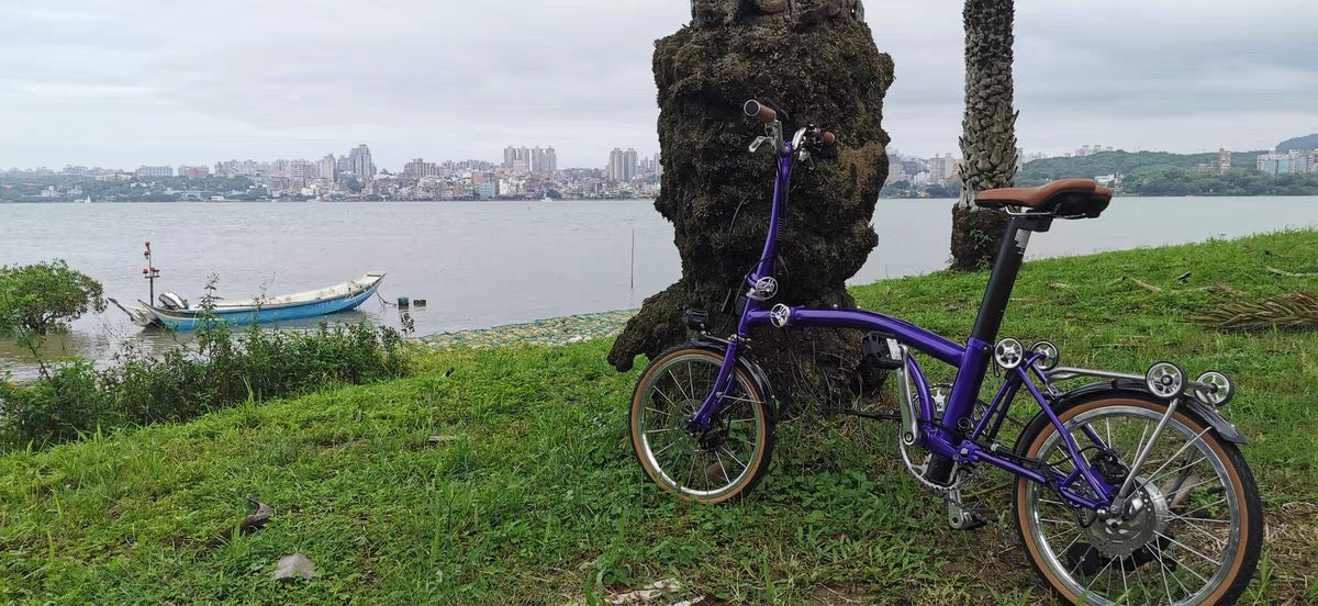 CLASSYCAT E-Brompton Pro/ Max PSE