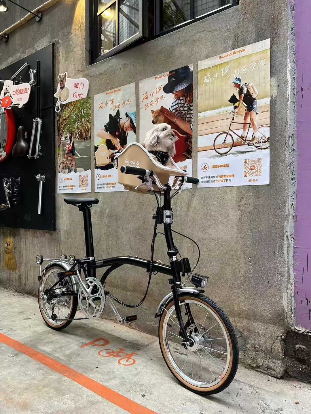 CLASSYCAT E-Brompton Pro/ Max PSE