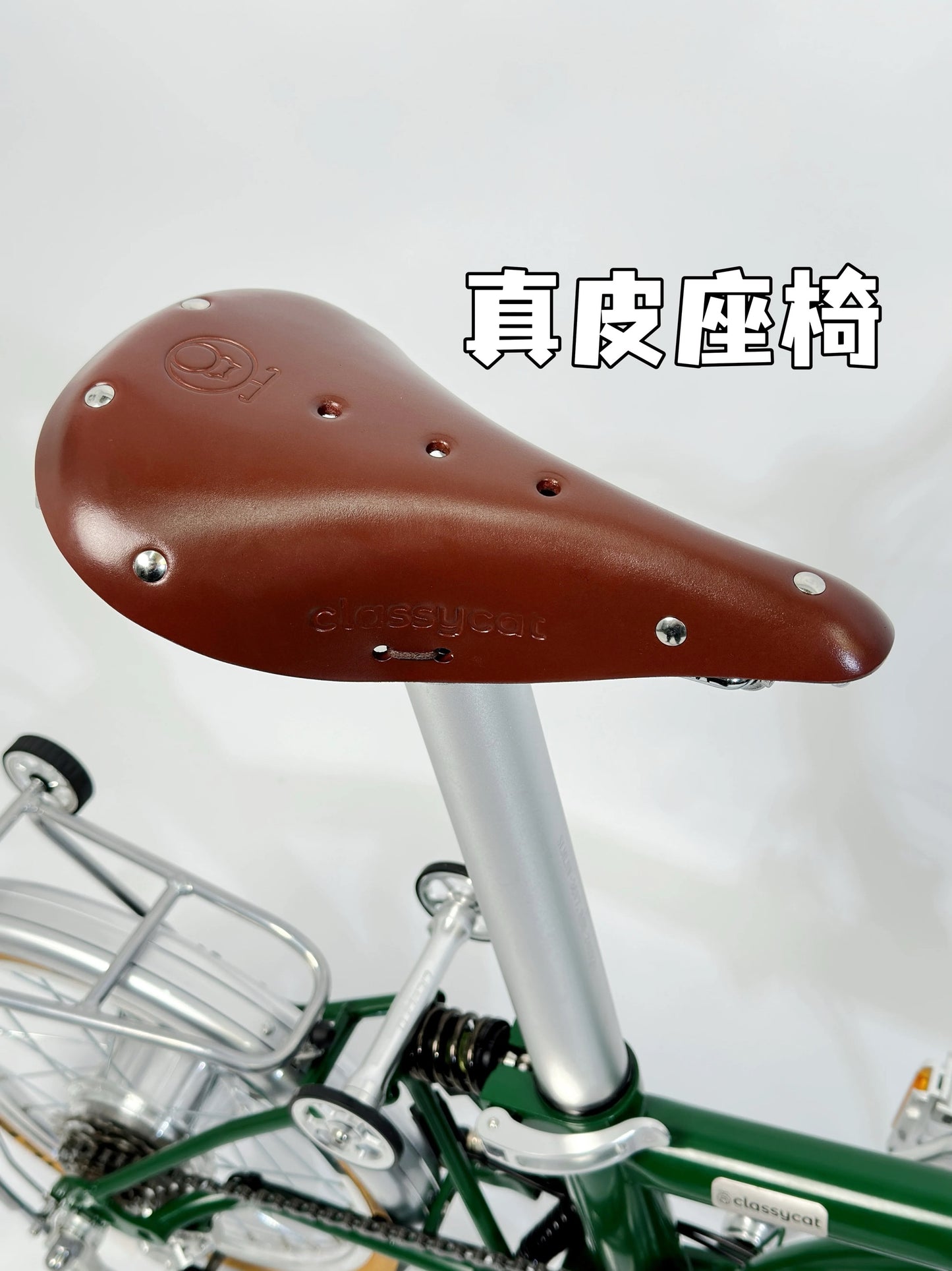 CLASSYCAT E-Brompton Pro/ Max PSE