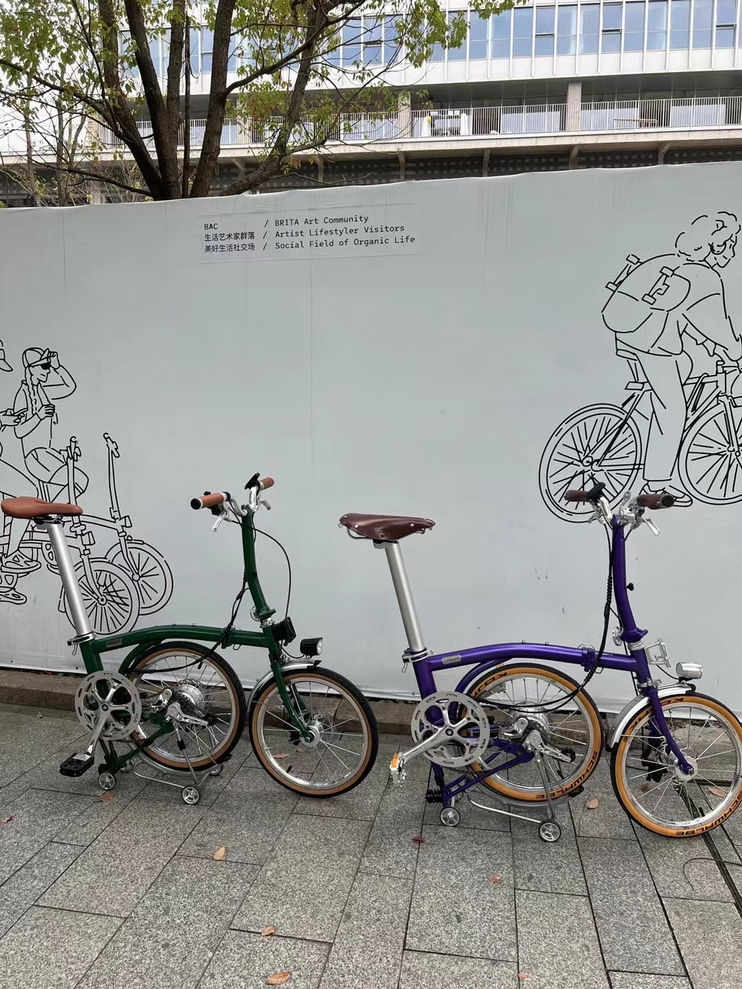 CLASSYCAT E-Brompton Pro/ Max PSE