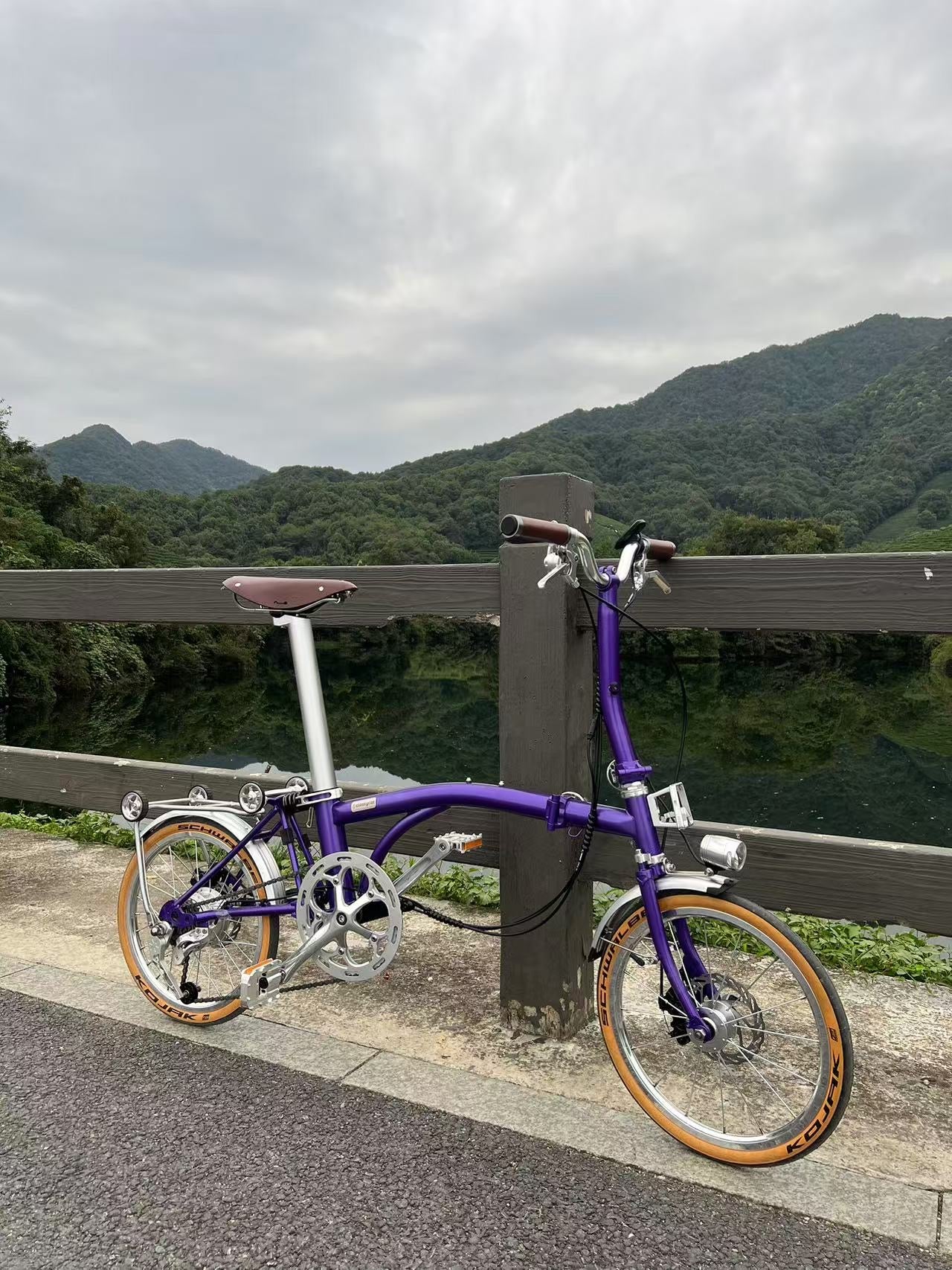 CLASSYCAT E-Brompton Pro/ Max PSE
