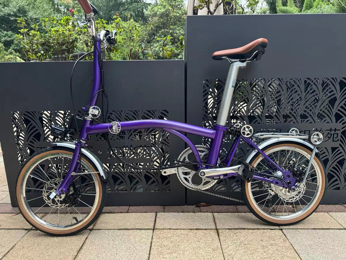 CLASSYCAT E-Brompton Pro/ Max PSE