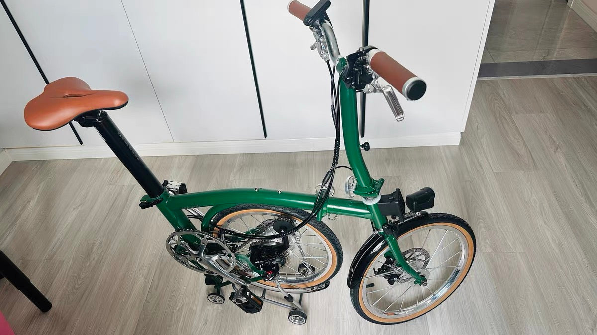 CLASSYCAT E-Brompton Pro/ Max PSE