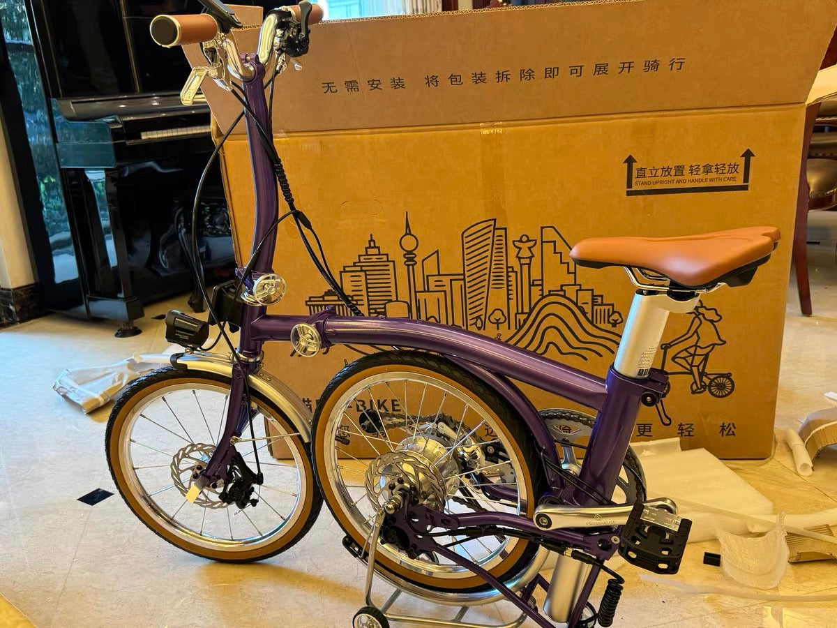 CLASSYCAT E-Brompton Pro/ Max PSE