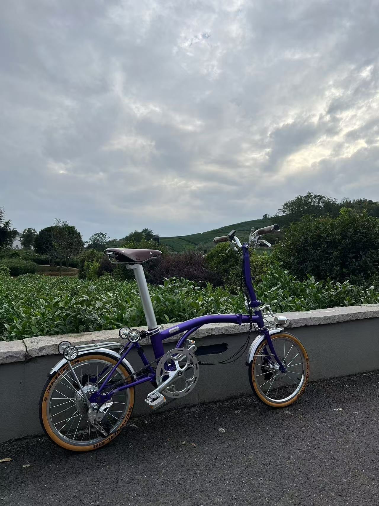 CLASSYCAT E-Brompton Pro/ Max PSE