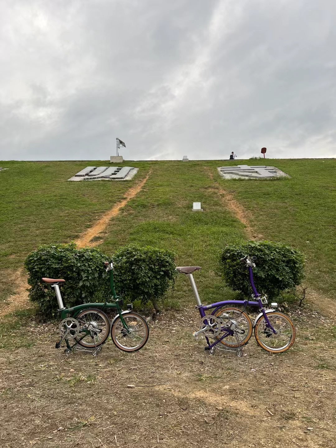 CLASSYCAT E-Brompton Pro/ Max PSE
