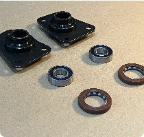 CINECO EX1 OEM Swingarm Bearing / Oil Seal Set