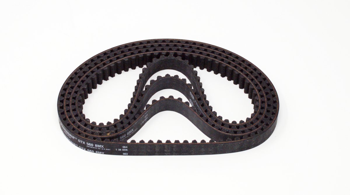 Light Bee Primary Belt Taiwan only