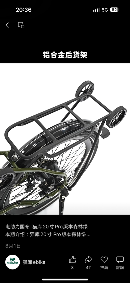 Classycat 20” Travel E-Bike