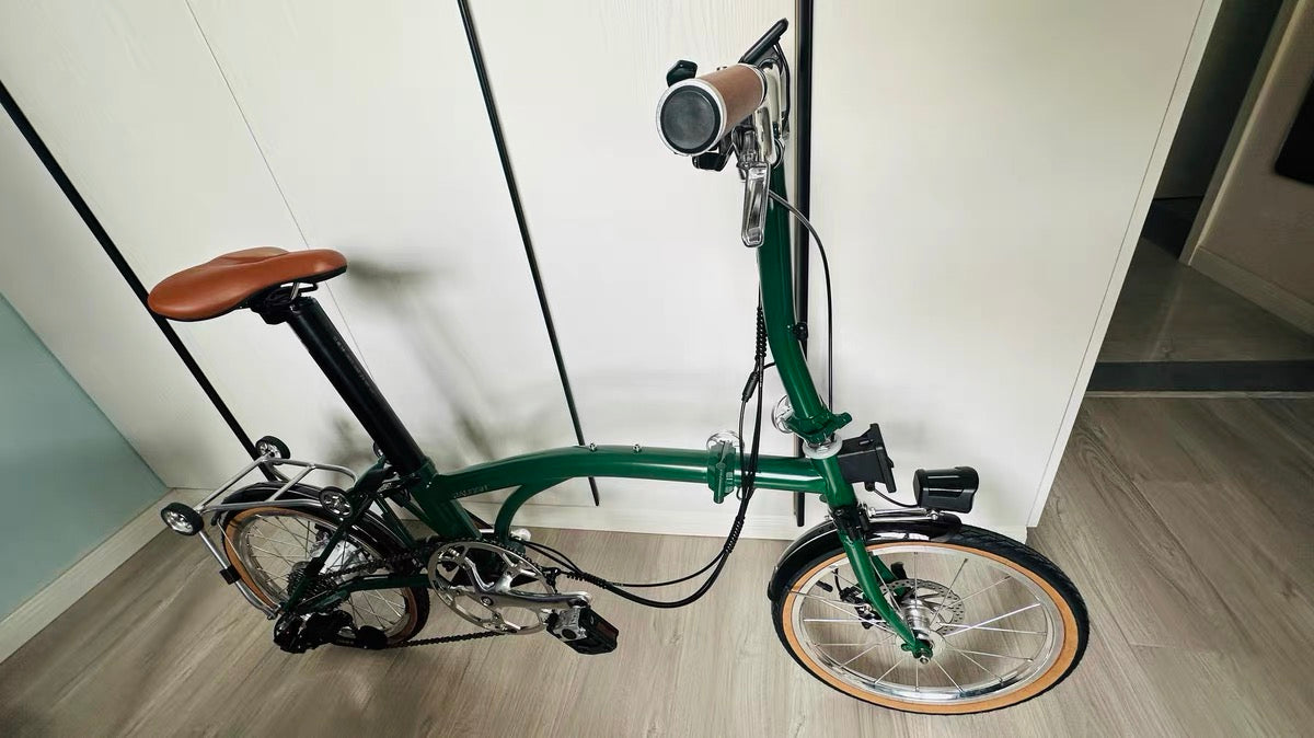 CLASSYCAT  E-Brompton Pro/ Max PSE