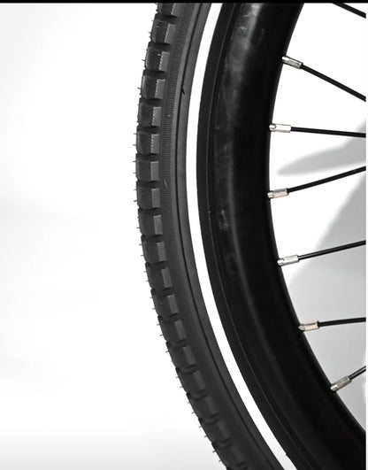 Classycat 20” Travel E-Bike