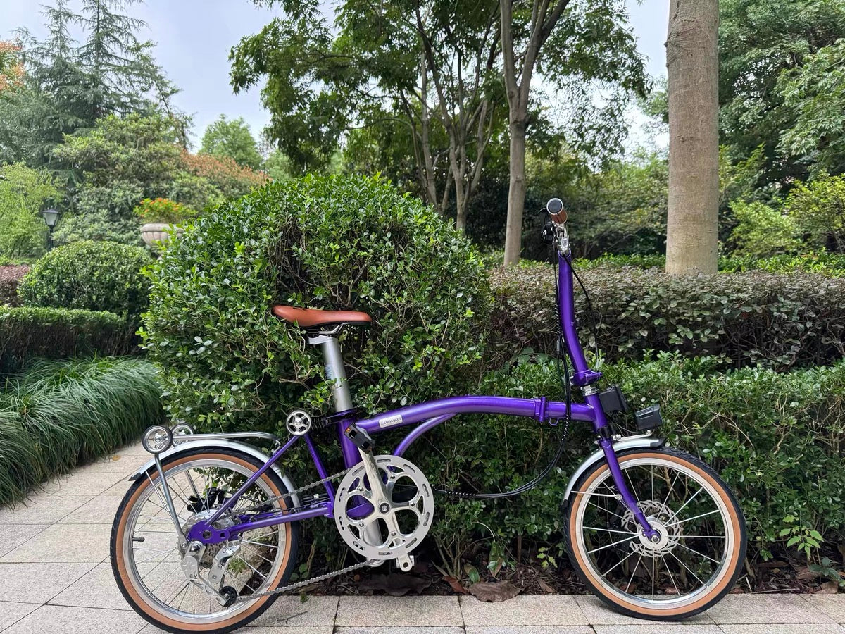 CLASSYCAT  E-Brompton Pro/ Max PSE