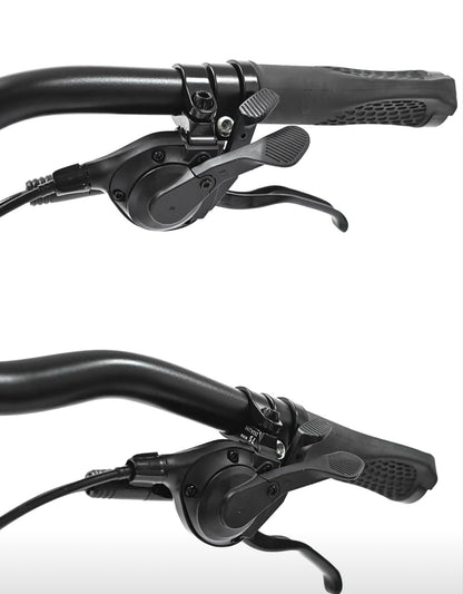 Classycat 20” Travel E-Bike