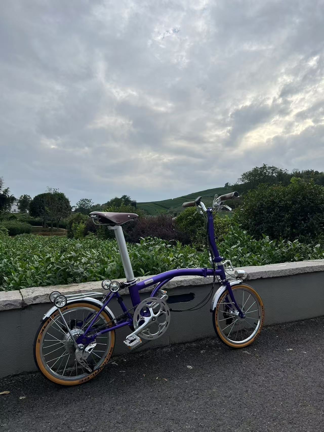 CLASSYCAT  E-Brompton Pro/ Max PSE