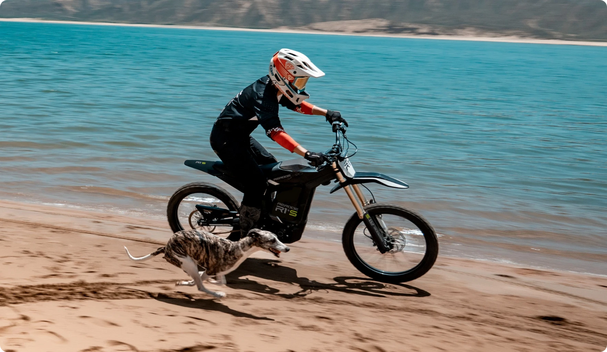 RERODE R1 Plus S
