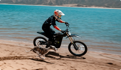 RERODE R1 Plus S