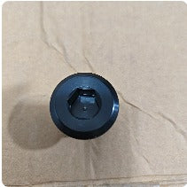 CINECO EX2 OEM Steering Column Bolt