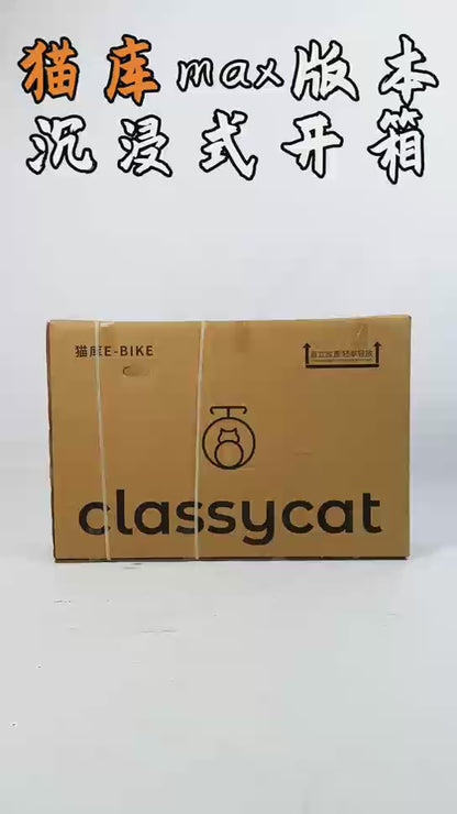 CLASSYCAT  E-Brompton Pro/ Max PSE