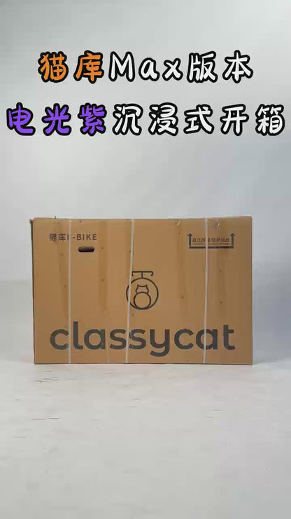 CLASSYCAT E-ブロンプトン プロ/マックス PSE