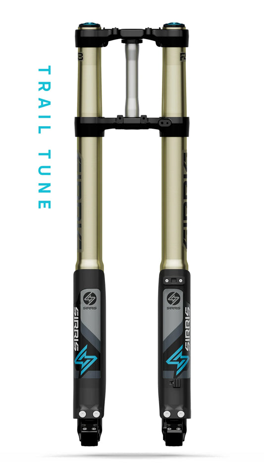Sirris F43 E-MOTO Forks