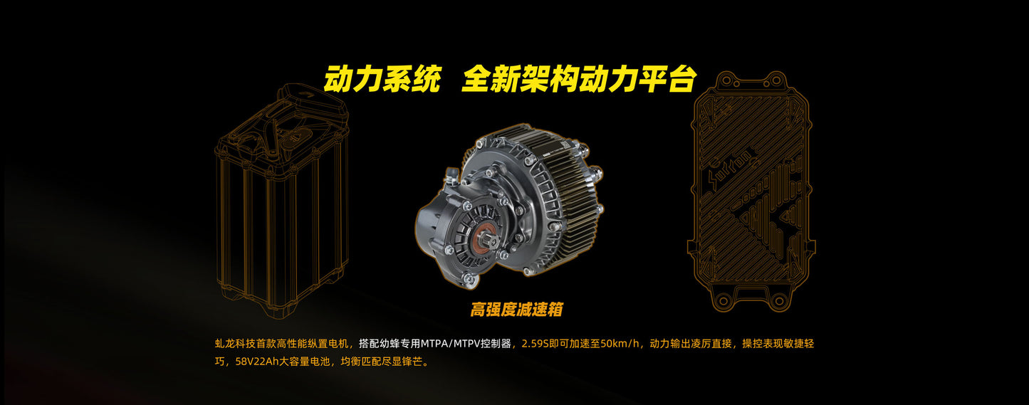 SUR-RON Hyper Bee - product