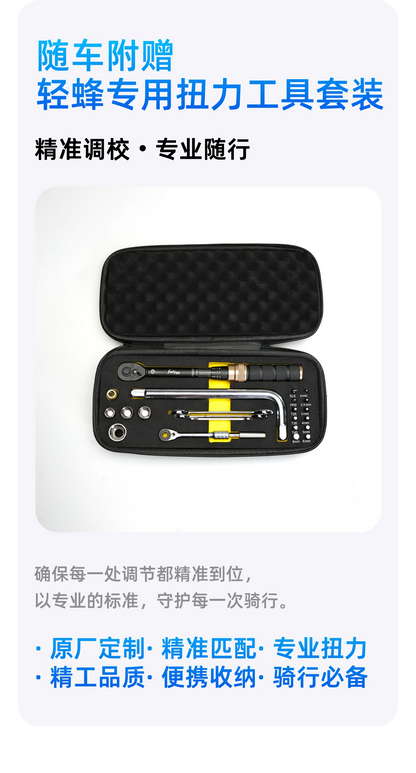 SUR-RON Light Bee 輕蜂 2026 - product